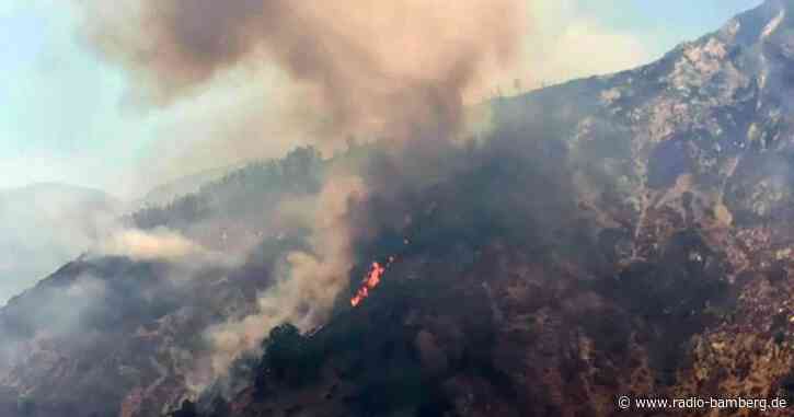 Leichte Besserung in Waldbrandgebieten
