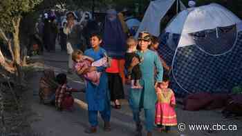 Taliban take strategic Afghan city of Ghazni on road to Kabul