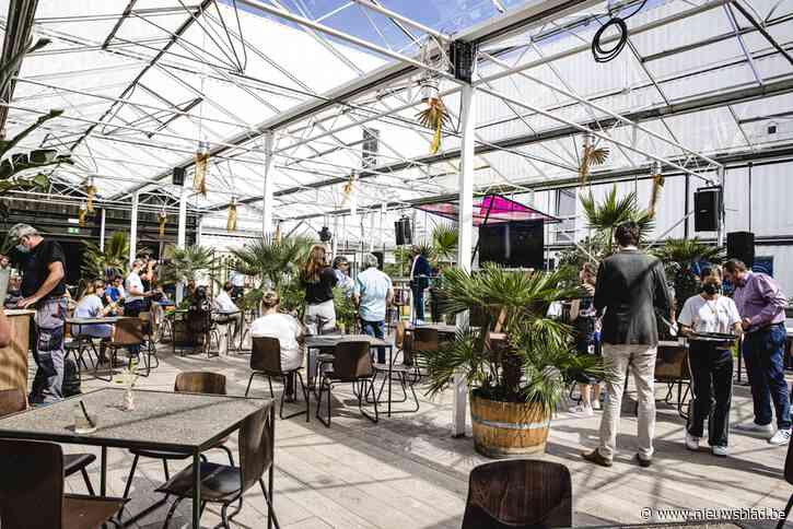 Plein Publiek 3.0 opent deuren op Blue Gate Antwerp: “Dit keer plannen we te blijven”