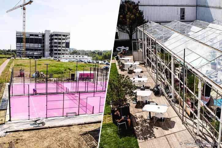 Plein Publiek 3.0 opent deuren op Blue Gate Antwerp, inclusief roze padelvelden: “Dit keer plannen we te blijven”