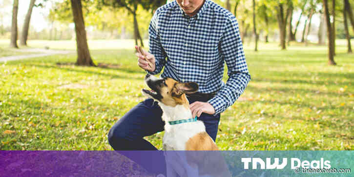 This DNA My Dog testing plus dog training courses can help build a happy, healthy pooch