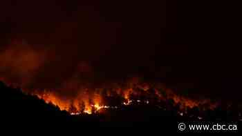 Wildfires continue to scorch southern Italy after temperatures reportedly top 48 C