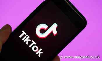 TikTok announces new safety measures for younger users 