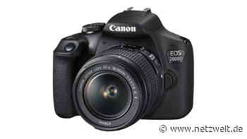 Canon EOS 2000D: Spiegelreflexkamera bei Saturn mit sattem Rabatt - NETZWELT