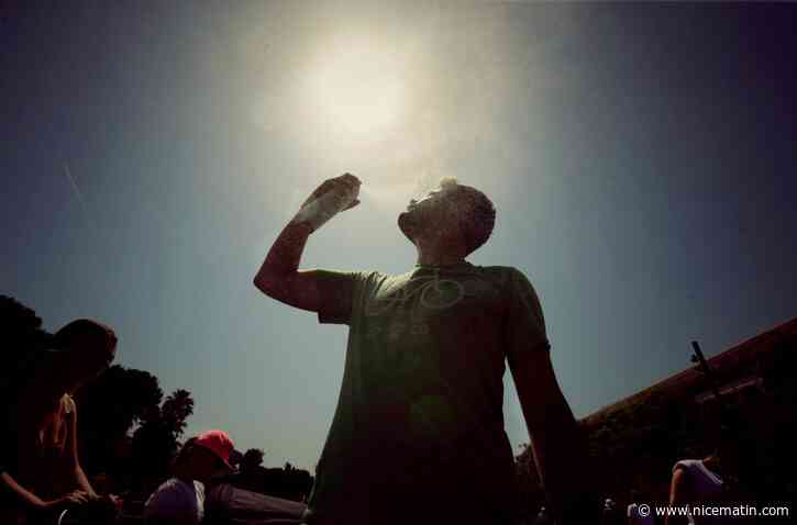 Réchauffement climatique: comment les villes doivent-elles s'adapter aux vagues de chaleur de plus en plus intenses?