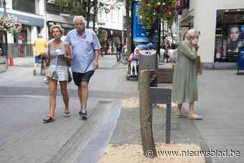 Vandalen zagen twee bomen om in winkelstraat