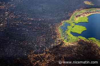 Un jour férié décrété dans des zones de Sibérie à cause de la fumée provoquées par les incendies