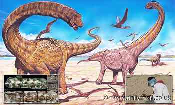 Fossils: Scientists unearth TWO new giant dinosaur species that lived in China 130 million years ago