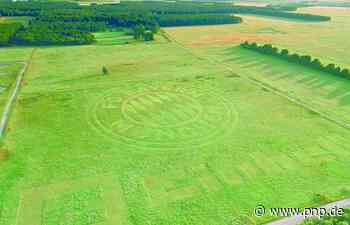 Rätsel um Bayern-Logo in einem Feld bei Garching ist gelöst - Passauer Neue Presse
