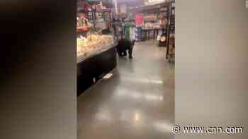 Footage shows bear wander around Los Angeles supermarket