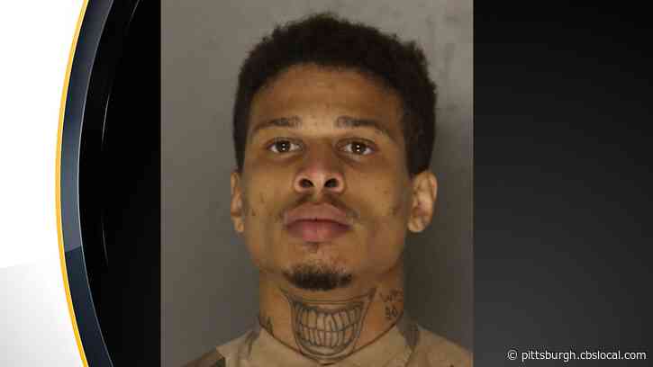 Man Accused Of Attacking Mounted Unit, Police Car During Downtown Riots Sentenced To Prison
