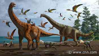 Two new dinosaur species, as big as a blue whale, discovered
