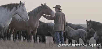 Trailer for 'Vanishing Knowledge' Film About Saving Nokota Horses