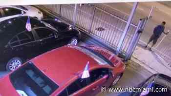 Man Ransacks Miami-Dade Auto Dealership, Falls Asleep in Stolen Car