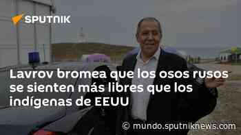 Lavrov bromea que los osos rusos se sienten más libres que los indígenas de EEUU - Sputnik Mundo