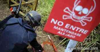 Tres municipios en Antioquia serán declarados libres de sospecha de minas antipersona - infobae