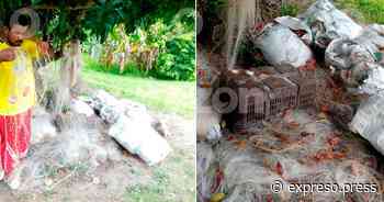 Sin pesca y sin apoyos pescadores libres - Expreso