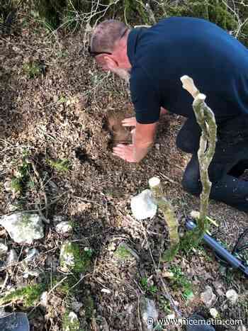 Un habitant trouve des mines antichars sur son terrain à Coursegoules