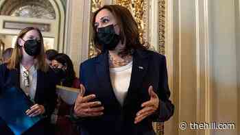 Harris hosts CEOs, executives at White House to discuss affordable childcare