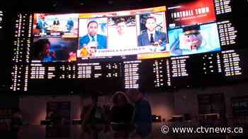 Federal government to enact single-game sports betting bill later this month