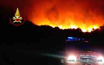 Pic de chaleur en Italie, les pompiers face à plus de 500 incendies