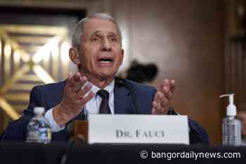 Fauci says to expect more children with coronavirus - Bangor Daily News