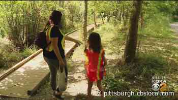 Kidsburgh: Local Mom Creates Organization For Young Kids To Volunteer