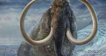 Scientists mapped a 17,000-year-old woolly mammoth's sad fate     - CNET