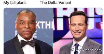 Delta variant meets 'my fall plans': The saddest, most relatable meme     - CNET