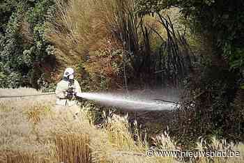 Struikgewas staat in brand - Het Nieuwsblad