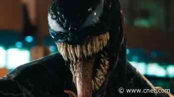 Movies coming in 2021 from Netflix, Marvel, HBO and more     - CNET