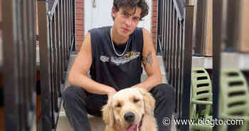 People keep spotting Shawn Mendes walking his dog in downtown Toronto - blogTO