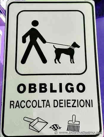 Putignano – Sanzioni per chi non raccoglie i bisogni del proprio cane - Putignano Informatissimo