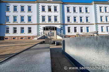 Riesa: Wer wird neuer Chef im Riesaer Museum? - Sächsische.de