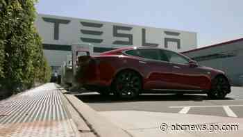 Victims slam Tesla subsidy from East German communist fund