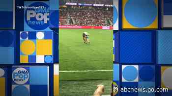WATCH:  Mom sprints to tackle toddler on field at MLS game