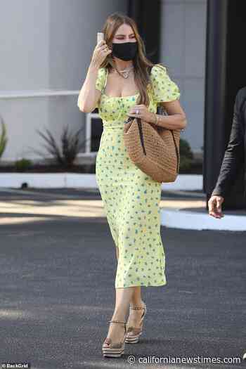 Sofia Vergara cuts a chic figure in floral gown during shopping outing in Beverly Hills - Californianewstimes.com