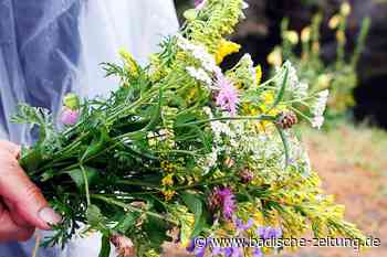 Gesegnete Kräuterbüschel zugunsten von Flutopfern - Kenzingen - Badische Zeitung - Badische Zeitung