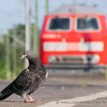 Streik beendet - Bahn kehrt zum normalen Fahrplan zurück - radioeuskirchen.de
