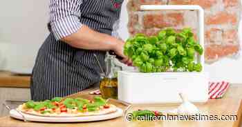 The best indoor garden for every type of gardener in 2021 - Californianewstimes.com