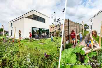 Een spelparadijs dat draait om kindvriendelijkheid: de zomertuin van Marjan en Wannes in Nijlen