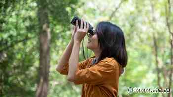 The controversy over the term 'citizen science'