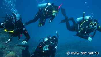 Queensland COVID business grants pool boosted to $600m with federal money