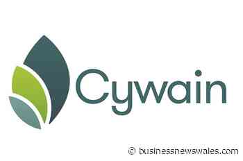Webinar Highlights Help for Mental Health within Food and Drink Sector - Business News Wales