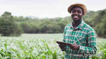 How AI-Driven Technology Is Increasing Food Security, And Improving The Lives Of Farmers Worldwide - Forbes