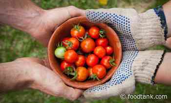 Food-Focused SXSW Voting Guide (36 Submissions Worth Upvoting) – Food Tank - Food Tank