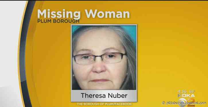 Plum Police Searching For Missing 62-Year-Old Woman Theresa Nuber