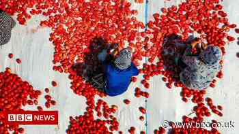 How can new technology protect outdoor workers?