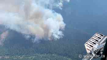 A close-up look at the fight against B.C. wildfires