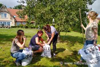 Pluk9230 plukt appels in het Brusselse